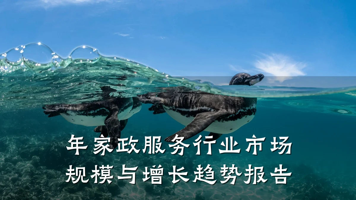 年家政服务行业市场规模与增长趋势报告