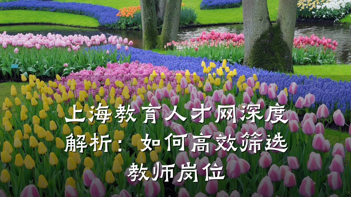 上海教育人才网深度解析:如何高效筛选教师岗位