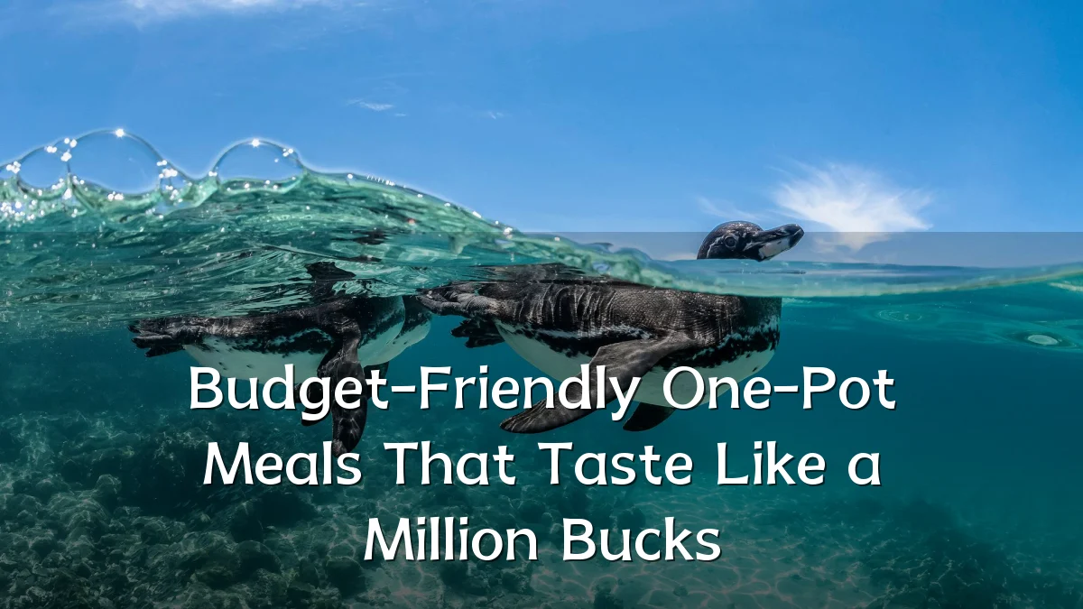 Budget-Friendly One-Pot Meals That Taste Like a Million Bucks