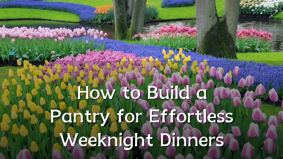 How to Build a Pantry for Effortless Weeknight Dinners