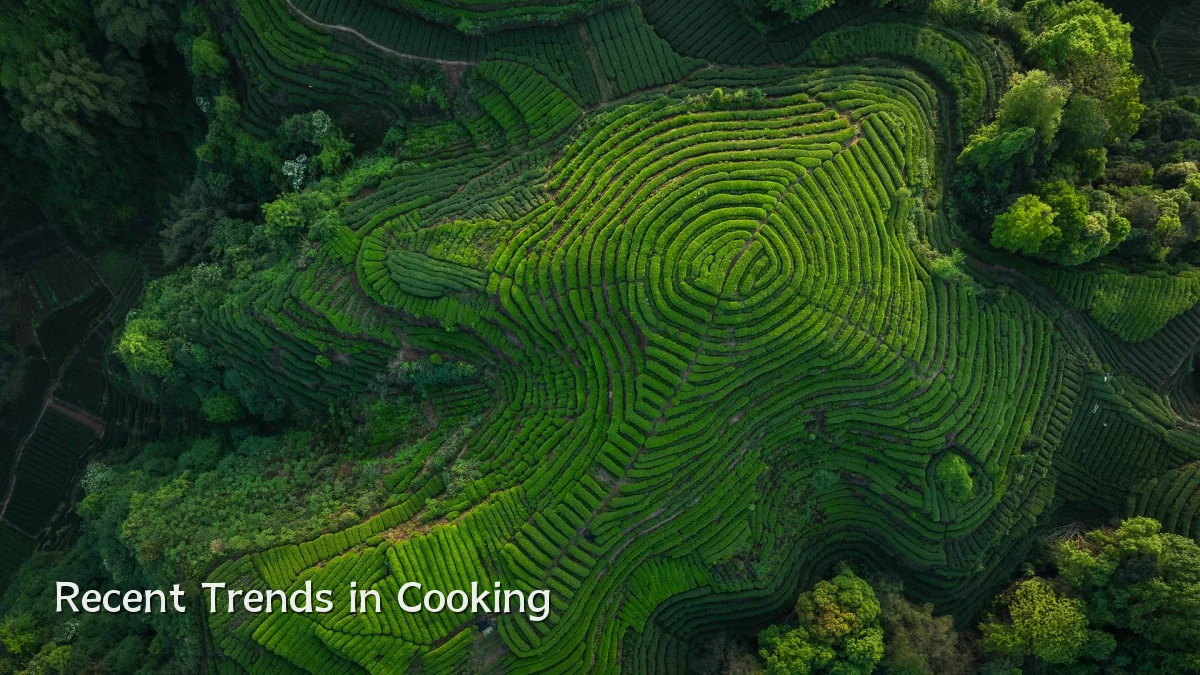 Recent Trends in Cooking