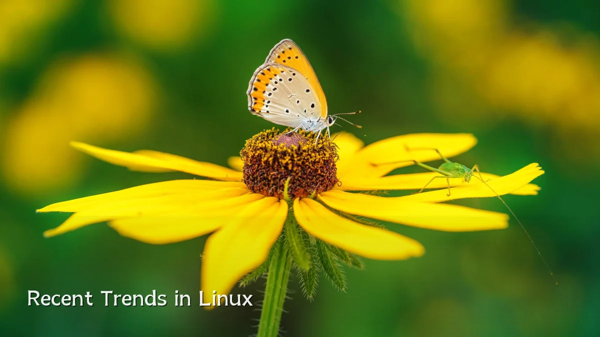 Recent Trends in Linux