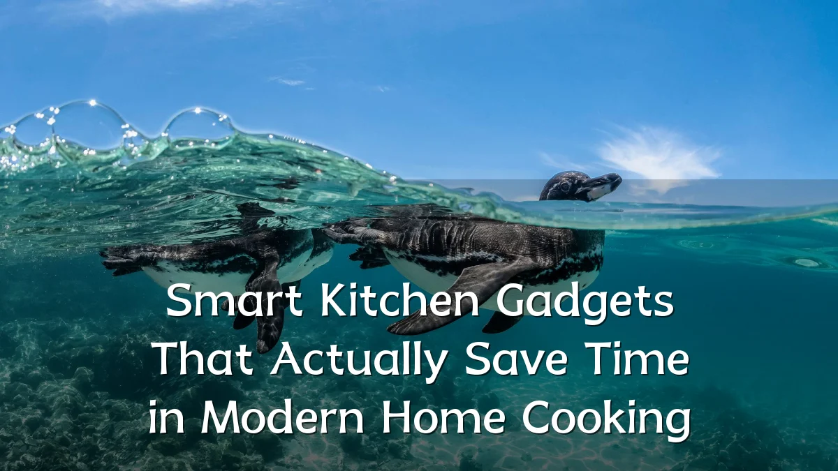 Smart Kitchen Gadgets That Actually Save Time in Modern Home Cooking