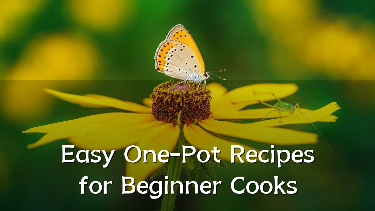Easy One-Pot Recipes for Beginner Cooks