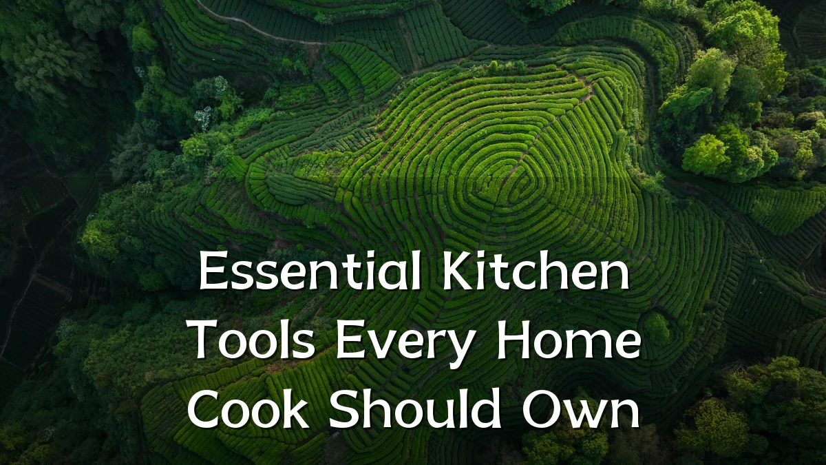 Essential Kitchen Tools Every Home Cook Should Own
