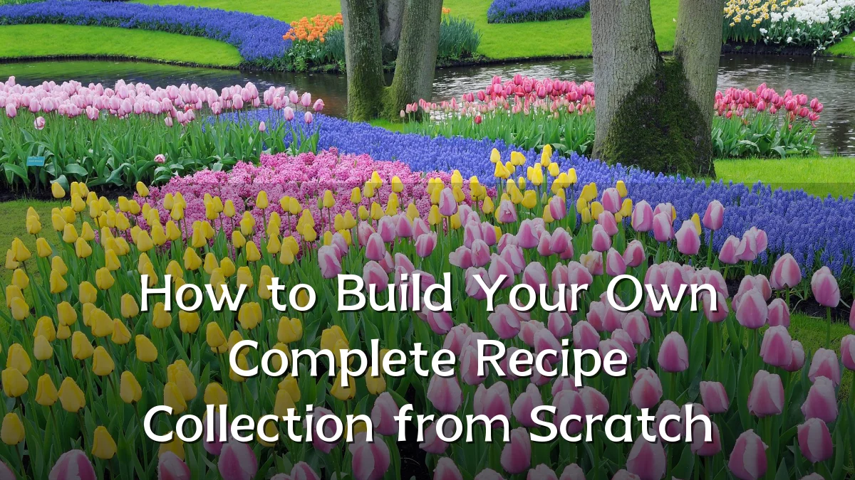 How to Build Your Own Complete Recipe Collection from Scratch