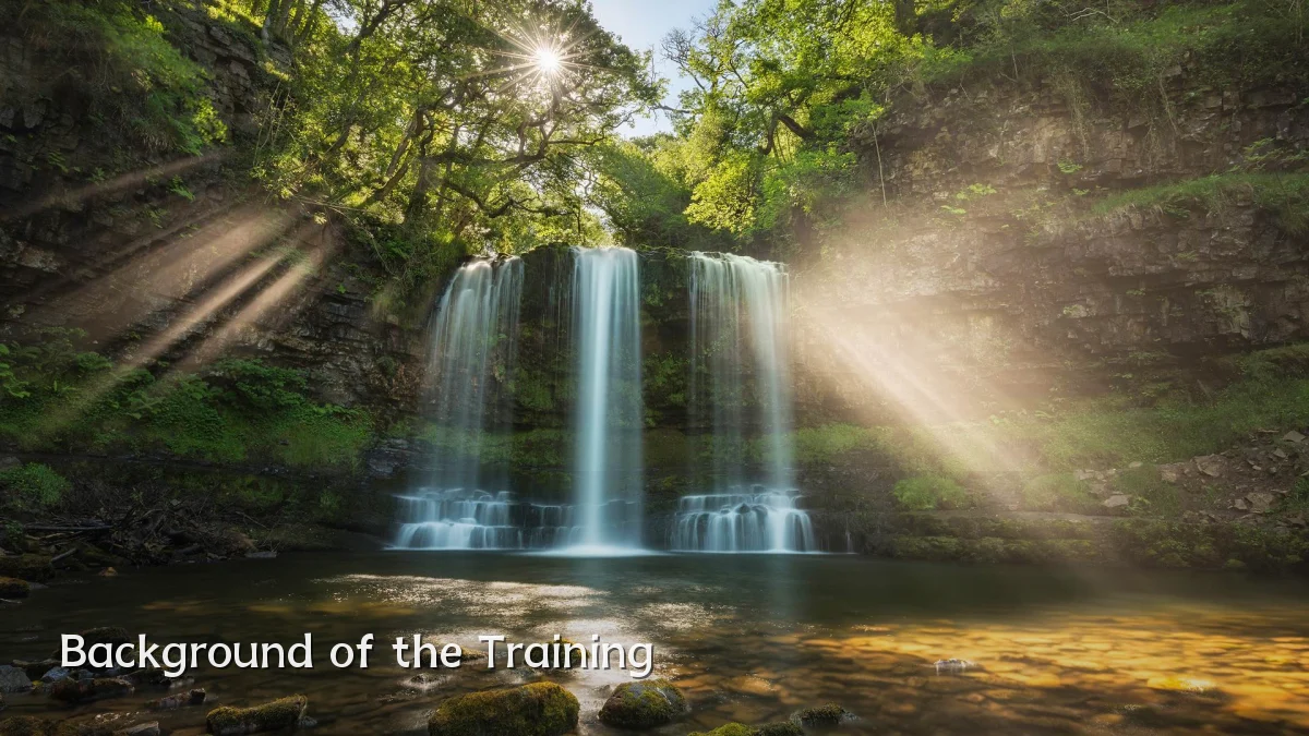 Background of the Training