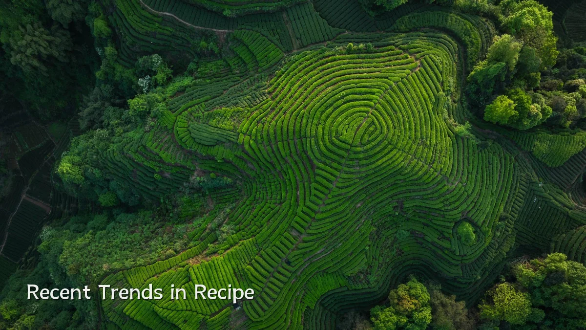 Recent Trends in Recipe