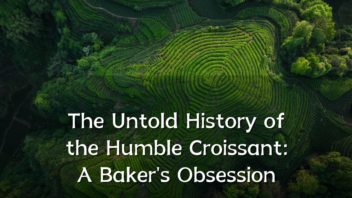 The Untold History of the Humble Croissant: A Baker's Obsession