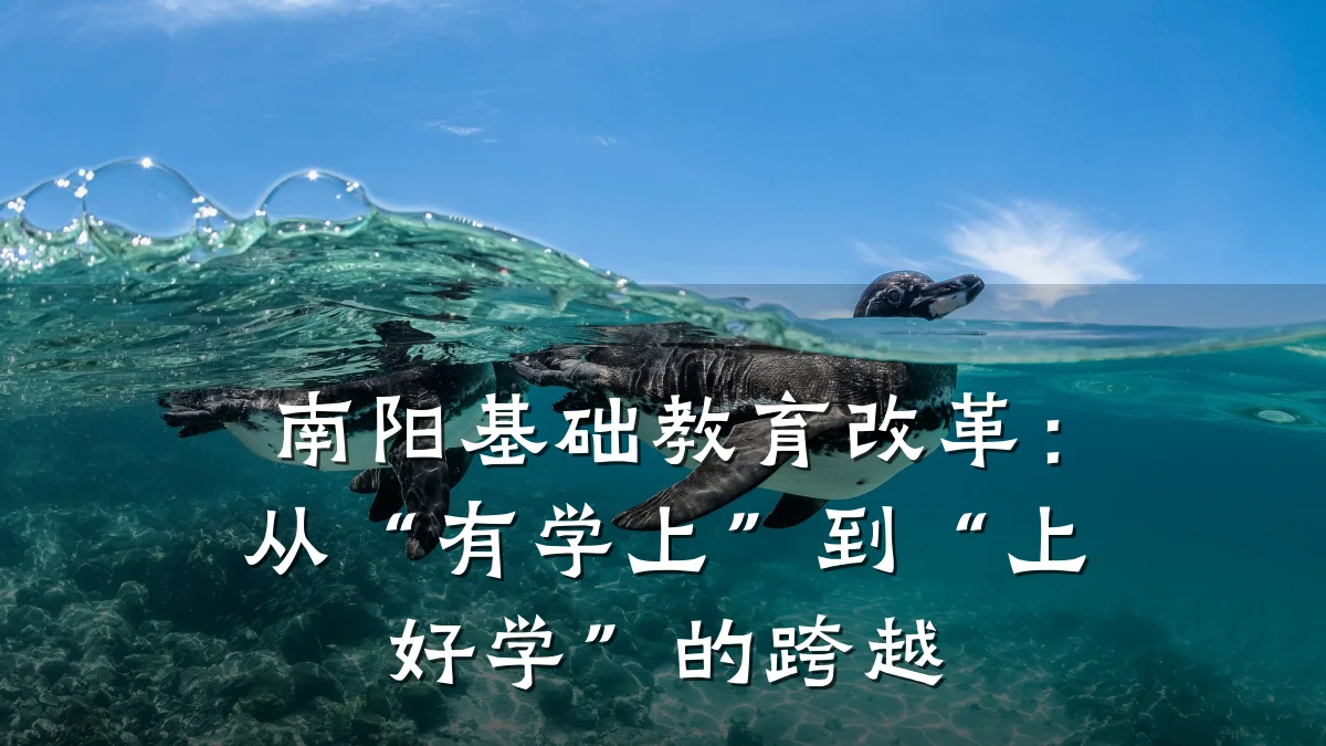 南阳基础教育改革：从“有学上”到“上好学”的跨越