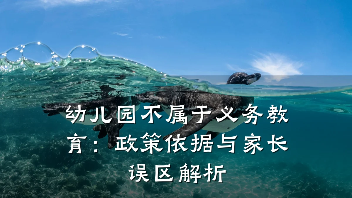 幼儿园不属于义务教育：政策依据与家长误区解析