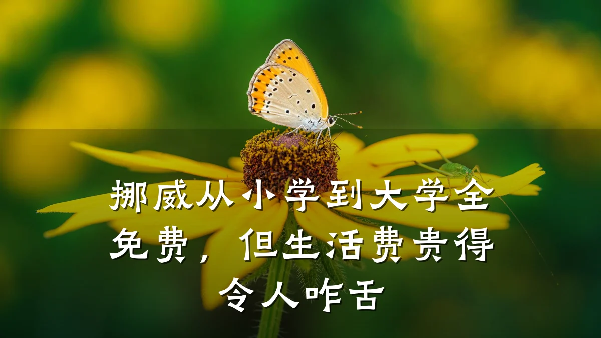 挪威从小学到大学全免费,但生活费贵得令人咋舌